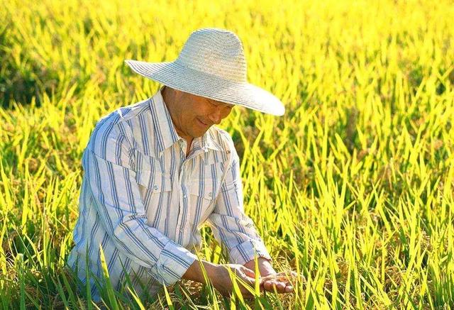 乡村振兴战略要加快推进农业转型升级!