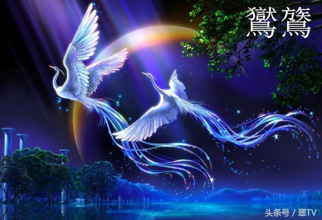 龙生九子,凤育九雏!有两个现在还真实活在世界上!