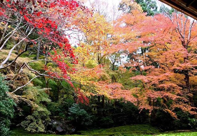 日本京都美景