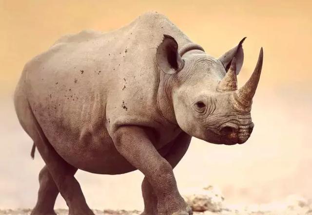 没有买卖,就没有伤害