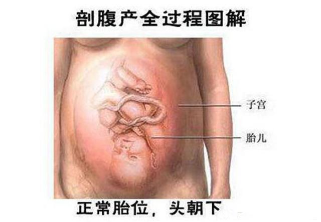 男的们肯定要多疼疼你们的妻子,她从怀胎到生孩子真的不容易!