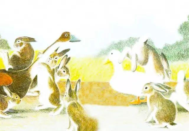 蜗牛老师说绘本丨一根羽毛也不能动