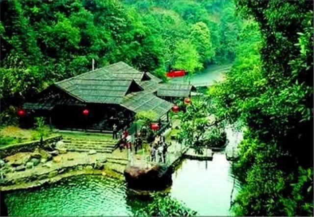 观全最大的竹海,从梧州出发,这些技巧你一定要知道