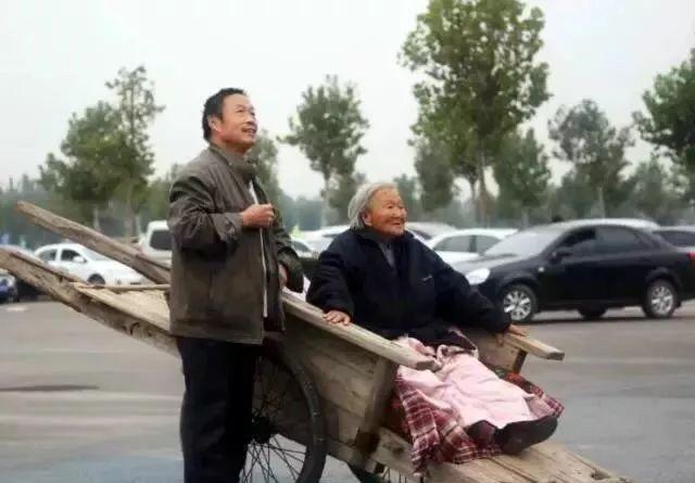 最感人的父母,看完所有都哭了