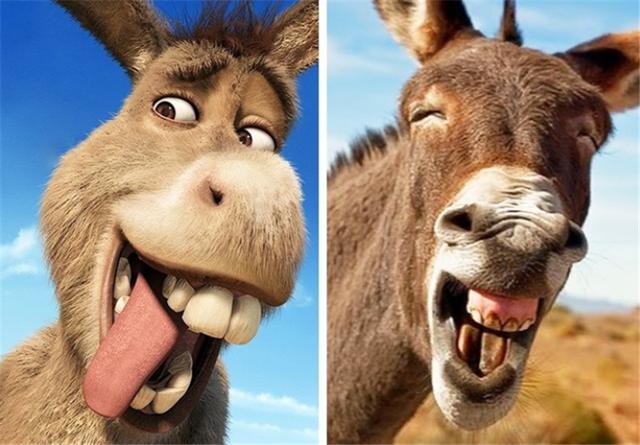 这是什么动物,反正不是壁虎吧,谁能告诉我!