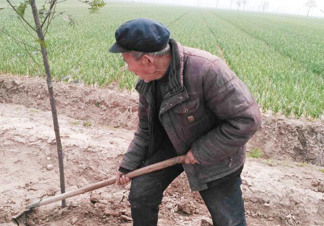 农民到了70岁, 领了养老补贴就不用干活了吗? 现实有
