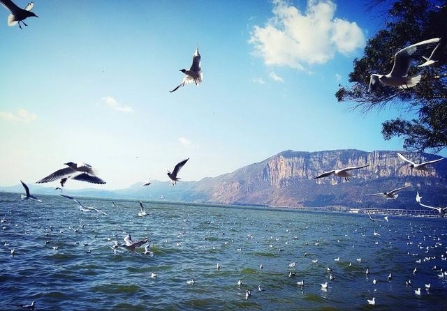 云南省排名第一的经济强市,现为几线城市