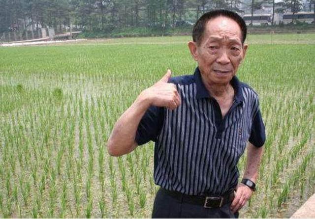 袁隆平_袁隆平收入(3)