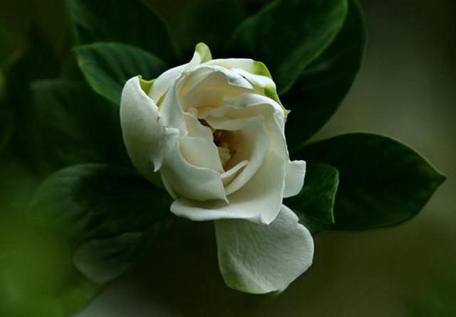 人穷志短(精辟、无奈、句句扎心)