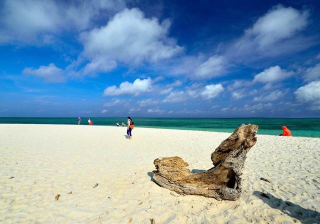 世界水域率最高的城市:水域比陆地面积大15万