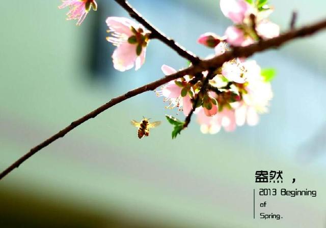 好运连连的4大生肖,立春开始财运势不可挡