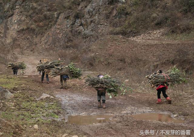 镜头下:大凉山贫困山区的孩子们