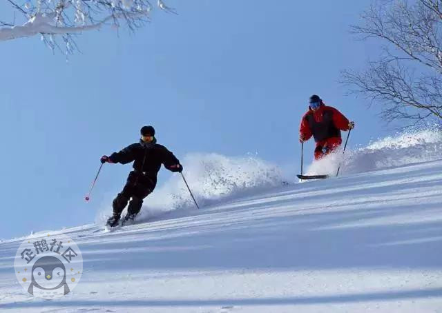 冬天怎么能错过耍雪 重庆周边10大滑雪场全攻略