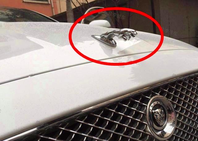盘点一些被玩坏了的车标!当然,豪车也比例外啊