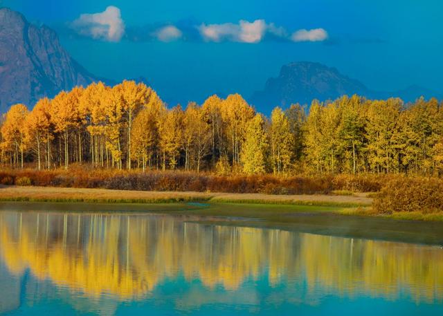 HR如何查询学历的真假