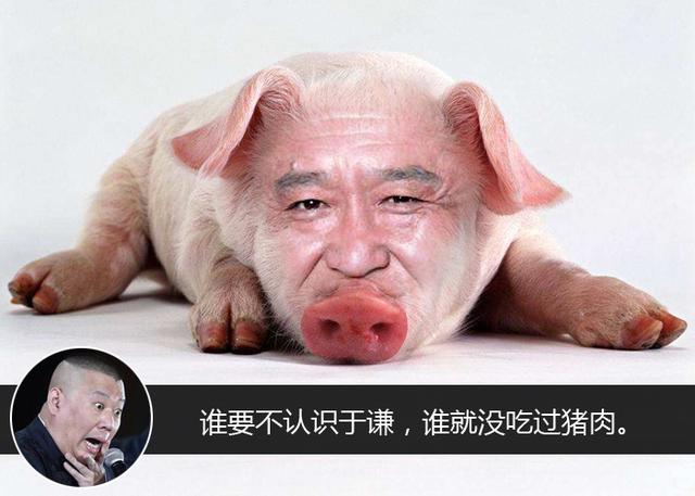 郭德纲搞笑相声台词:你们要是不认识于谦,那是你们没吃过猪肉