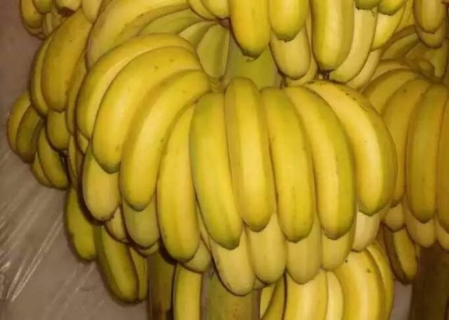 宝宝总是咳嗽,别急着吃药!把香蕉和它一起煮