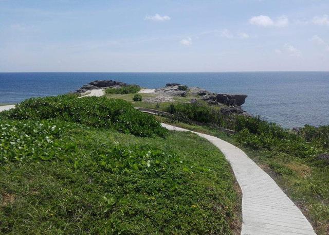 世界水域率最高的城市:水域比陆地面积大15万