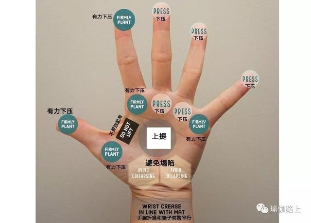 手臂的很多肌肉没有适应,所以看到很多初学者,在手掌撑地时,用力不对