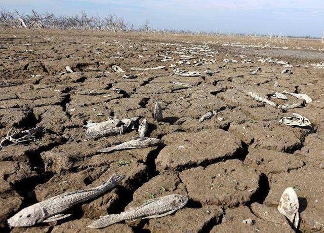 地球上的水是不是越来越少了?