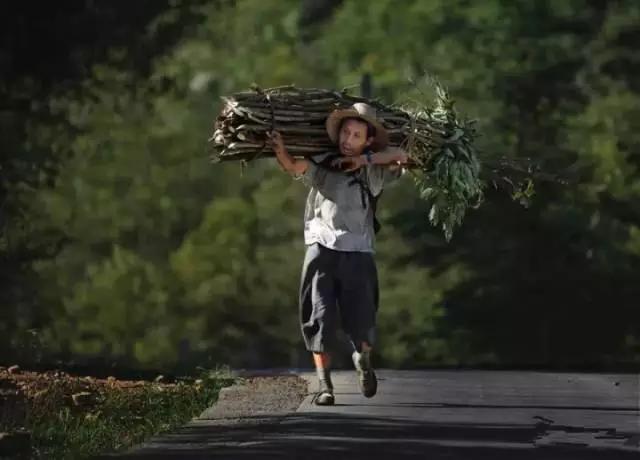 山里娃,那些年咱们一块上山砍柴的日子你还记得吗