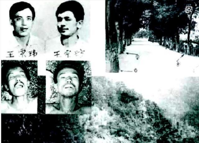 东北二王电视剧全集 追捕二王1994版电视剧_追捕二王在线观看完整版