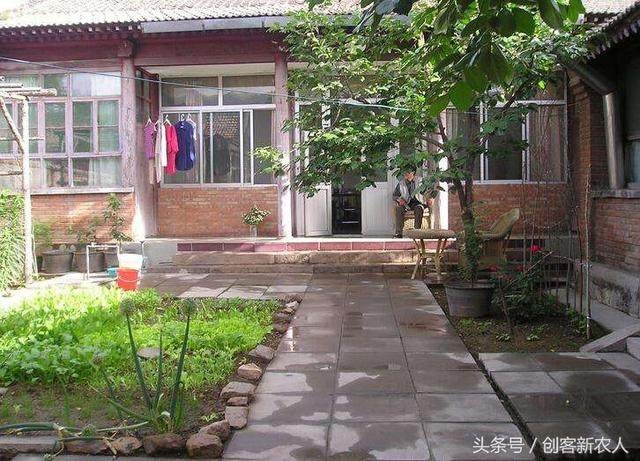 村人院子最适合种植这五种树,你喜欢那棵树!