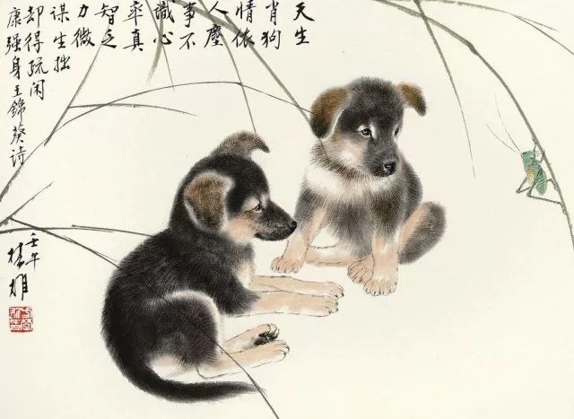 关于狗为什么会有那么多的骂名?为狗正名:这些锅我们狗狗不背!