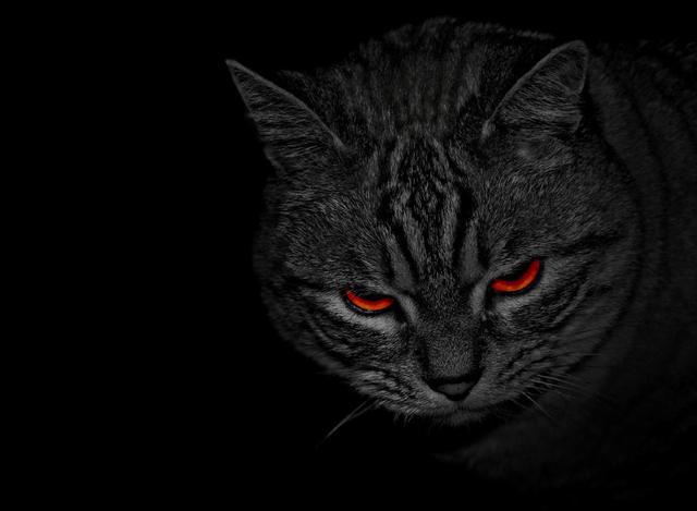 一道十分经典的刑法案例题,对于侮辱尸体罪的