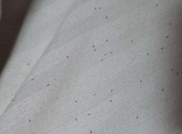 宝妈发现女儿满身的红疙瘩,掀开床单,看见的一