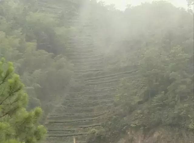 美丽乡村行之西坑村——厦门的“西藏”