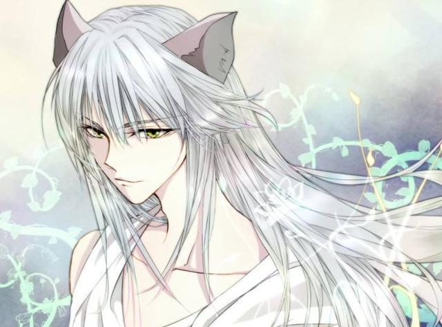 二次元中的银发型男都有谁