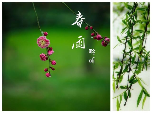 春雨润物,也润心,春天,撷一路绿意慰藉心灵|春雨|春风