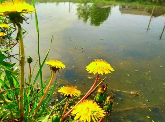 幸福家庭健康为本,在育儿路上健康的重要性,从