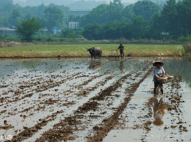 已确权的农村土地,老人去世后子女有继承权吗