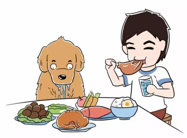 狗狗呕吐勿惊慌，病因颜色藏！教一教大家如何判断