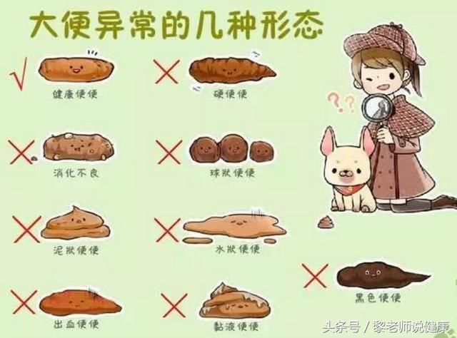 宿便形状