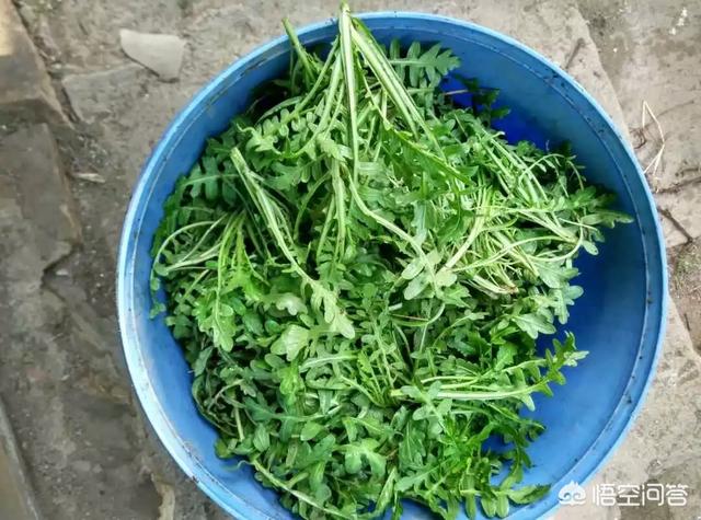 定都北京需要修多少粮仓？...