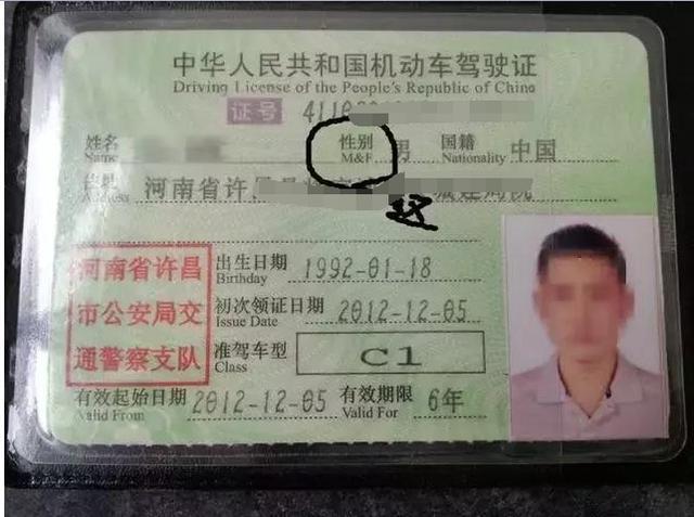 中国驾照一直未被发现的三大漏洞, 却被一个外国人直接指出!