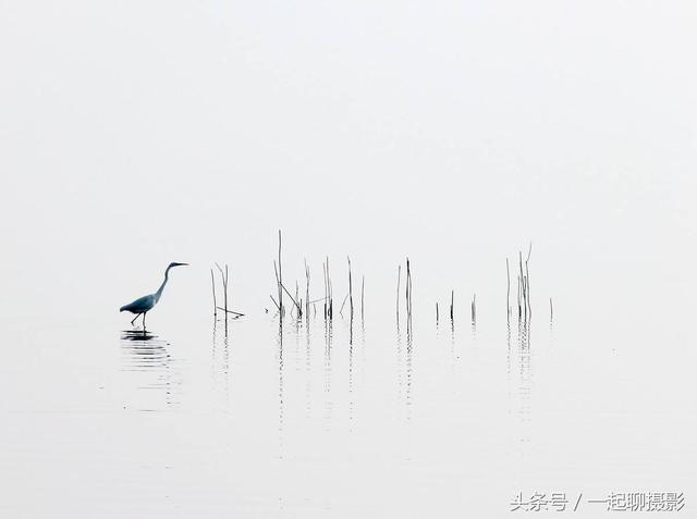 正文          其次我们要做的就是画面的大面积留白,这也是极简摄影