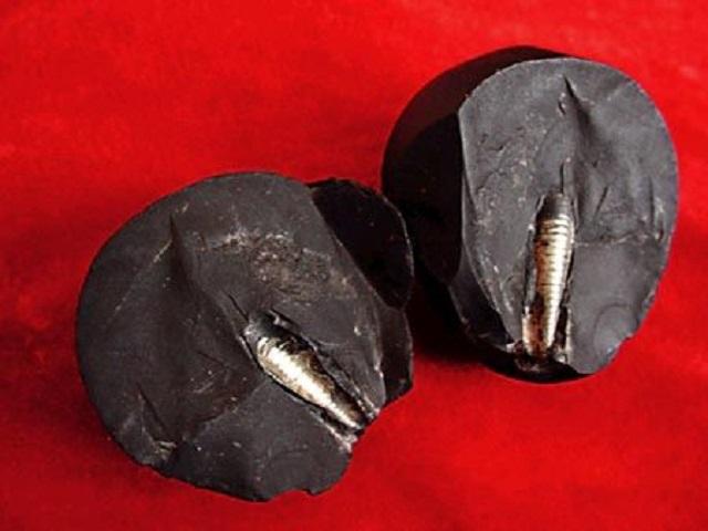 史前文明真的存在:人类的存在是地球的第几次