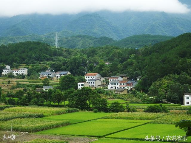 未来十年,农业将朝这5大方向发展,农民要心中