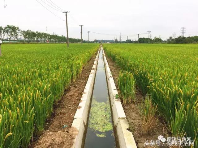 独家！32万方印象城最新进展公开！嘉定重大利好工程全在这！