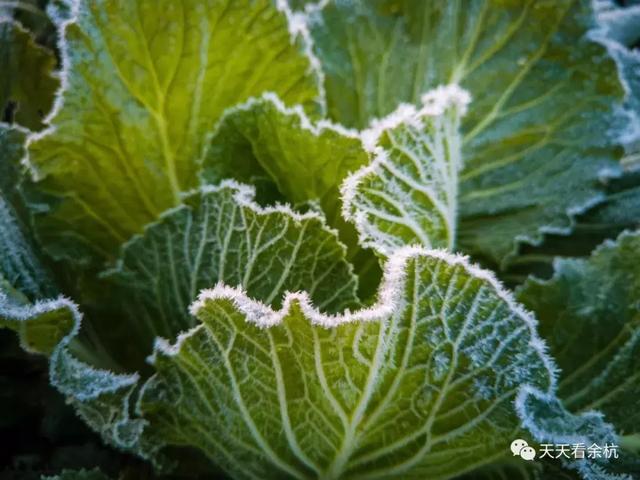 冷出天际!杭州最冷的地方在这里-7.8℃!网友晒