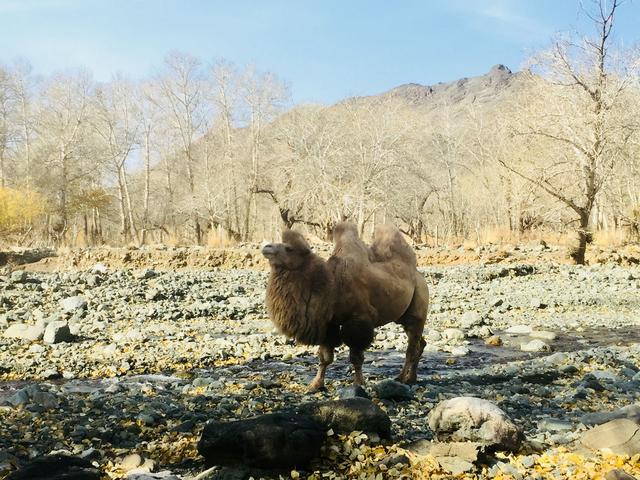 凄美：苏拉夏情人谷的前世今生
