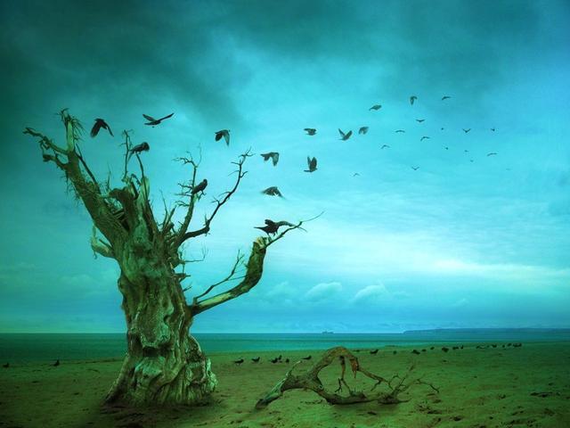 新月派诗歌的特点是什么?读戴望舒《我用残损的手掌》有感