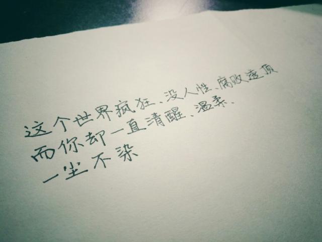 我心里只有你简谱_在我的心里只有你简谱(3)