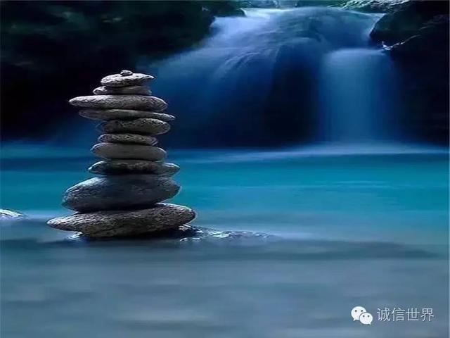 在同城品茶活动中感受心灵的栖息地之美