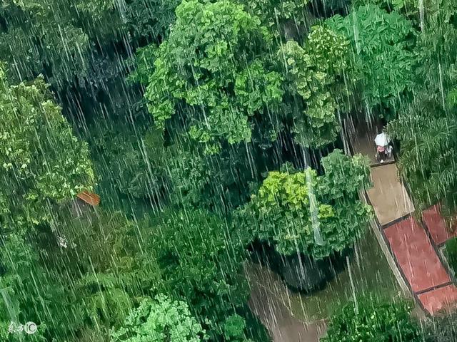 京东7Fresh生鲜超市29日北京开业 与盒马肉搏