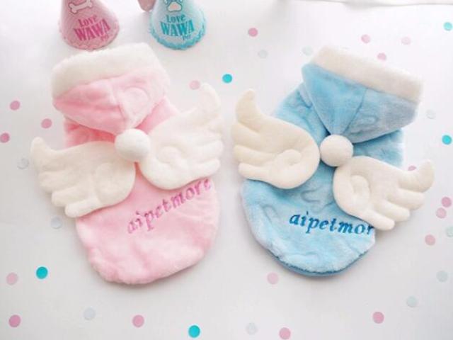 家里养宠物狗注意事项,养宠物狗用品